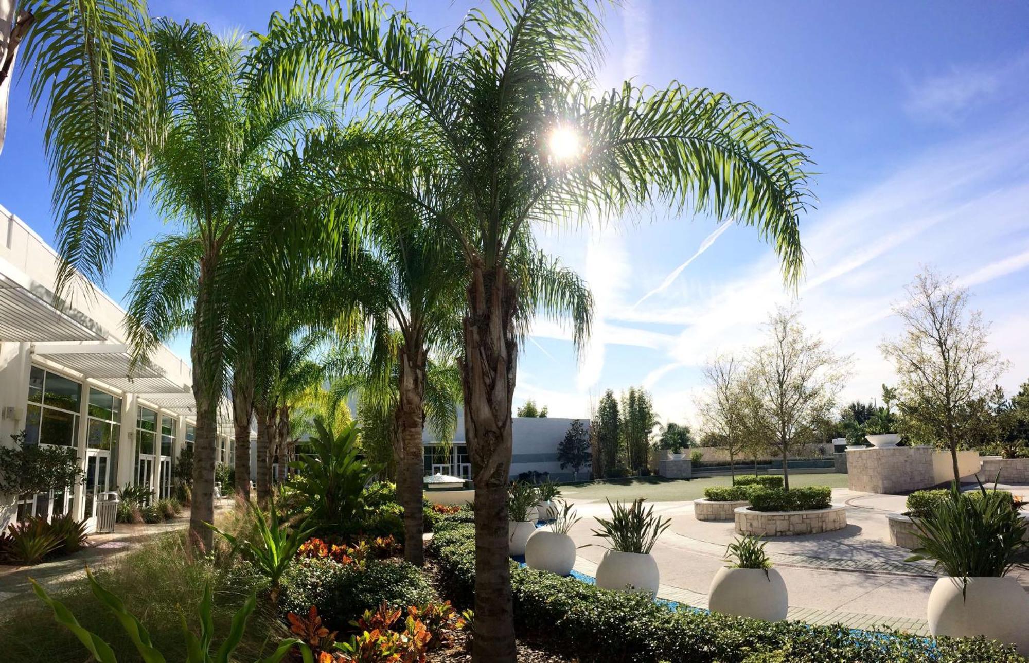 Resort Hilton Orlando